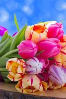 How to Draw Cute Flowers