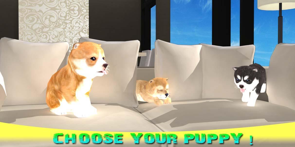 Little Puppy Dog At Home