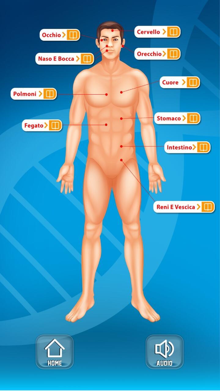 Il Corpo Umano Lisciani