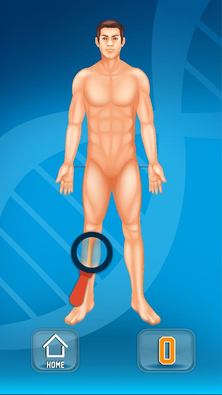 Il Corpo Umano Lisciani