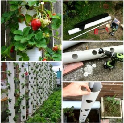 DIY, PVC Pipe Handcrafts