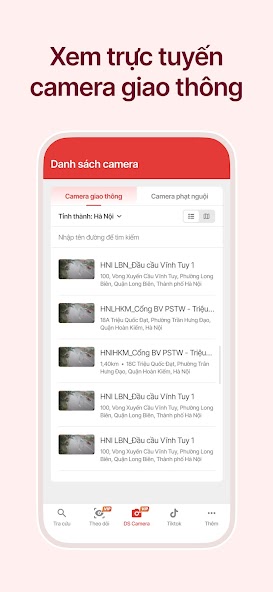 Vietnamese Cold Penalty Lookup