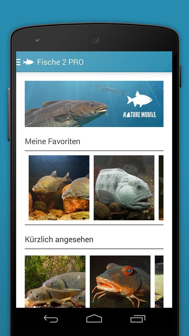 Fish 2 LITE - Field Guide