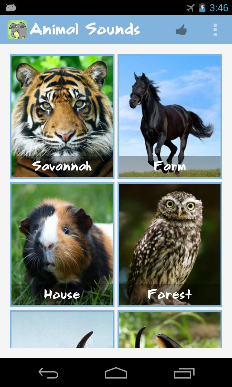 Animal Family Sounds