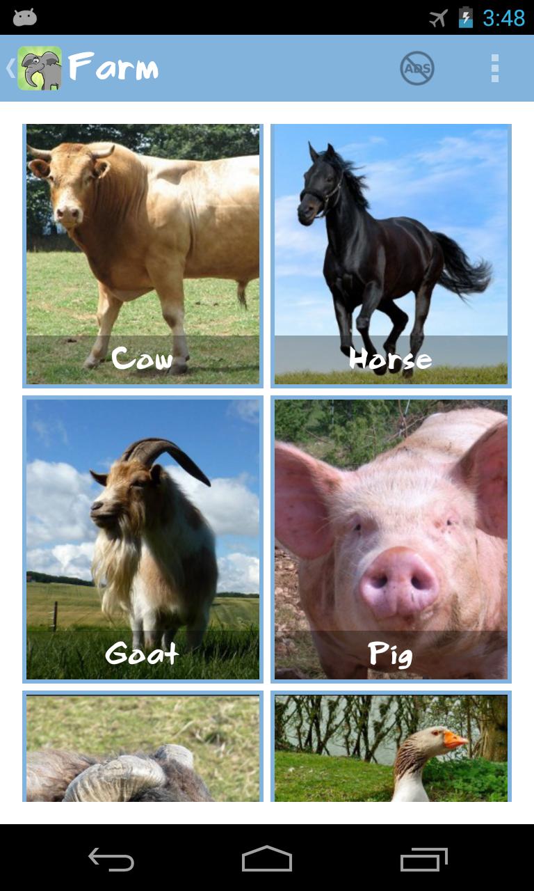 Animal Family Sounds