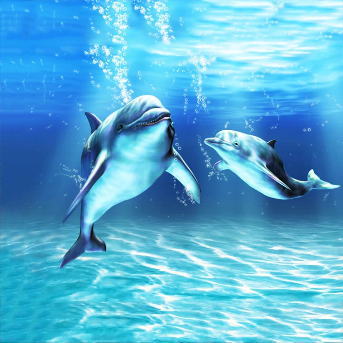 Sea Dolphin Live Wallpaper