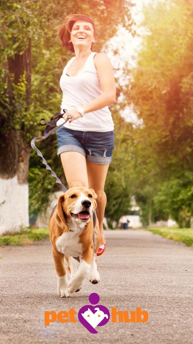 PetHub