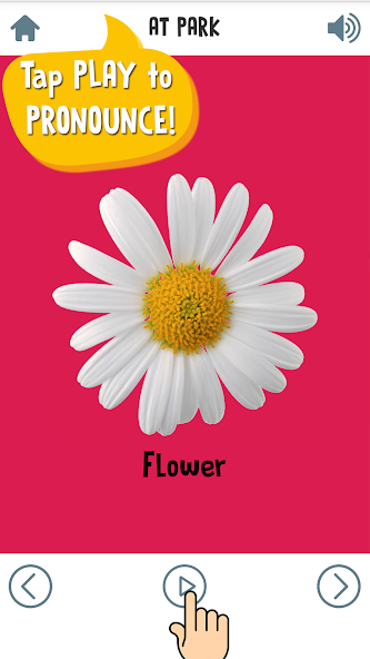 First Words for Baby