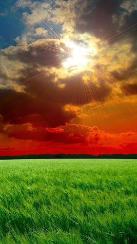 Smartphone Full HD Wallpapers