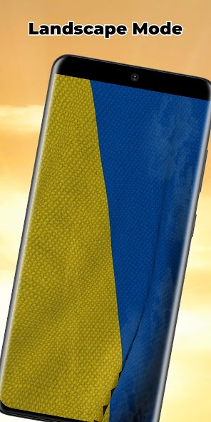 Ukraine Flag