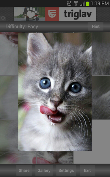 Jigsaw Puzzle: Cute Animals