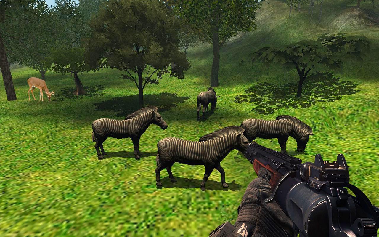 Hunting Animals in Jungle