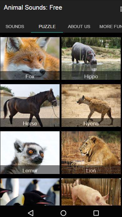 Wild Animal Sounds: For Kids