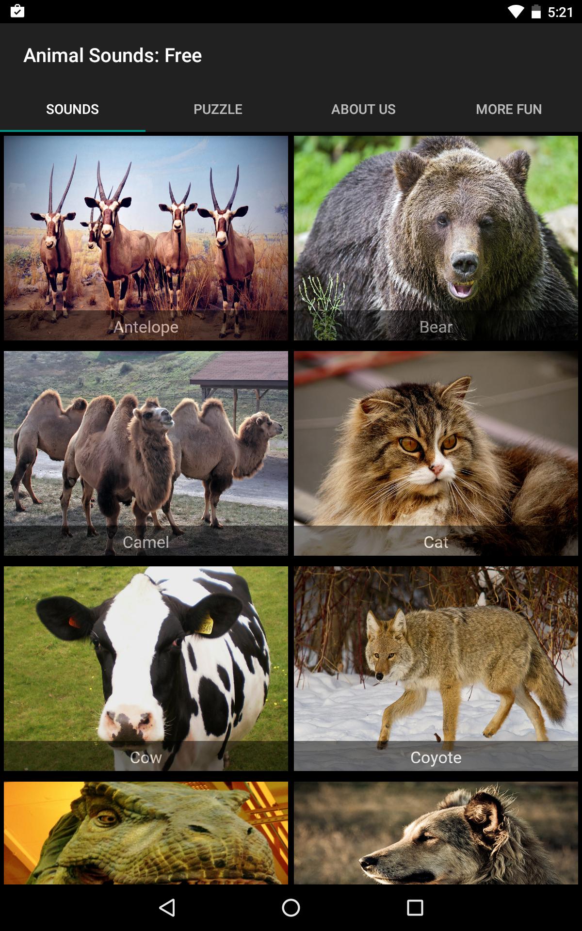 Wild Animal Sounds: For Kids