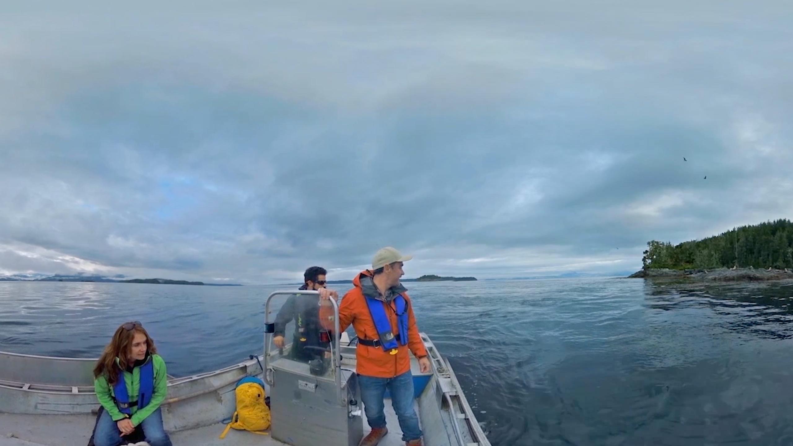 The Wild Within - VR Cardboard