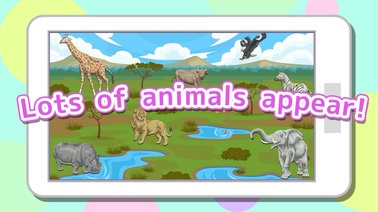 What's this animal? / Free