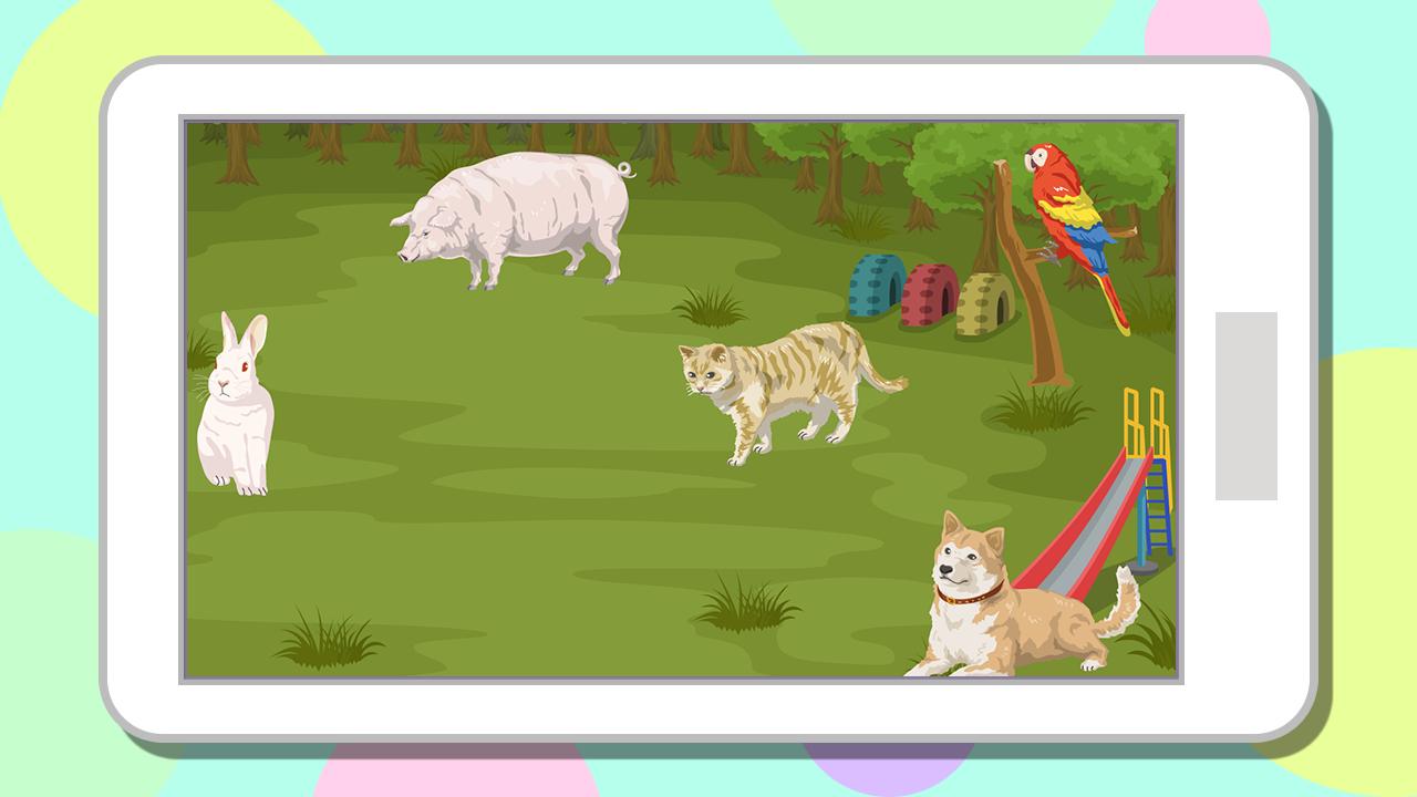 What's this animal? / Free