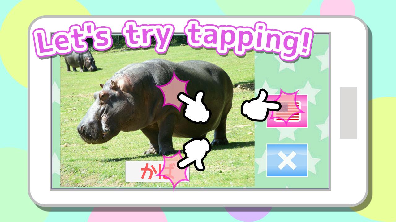 What's this animal? / Free