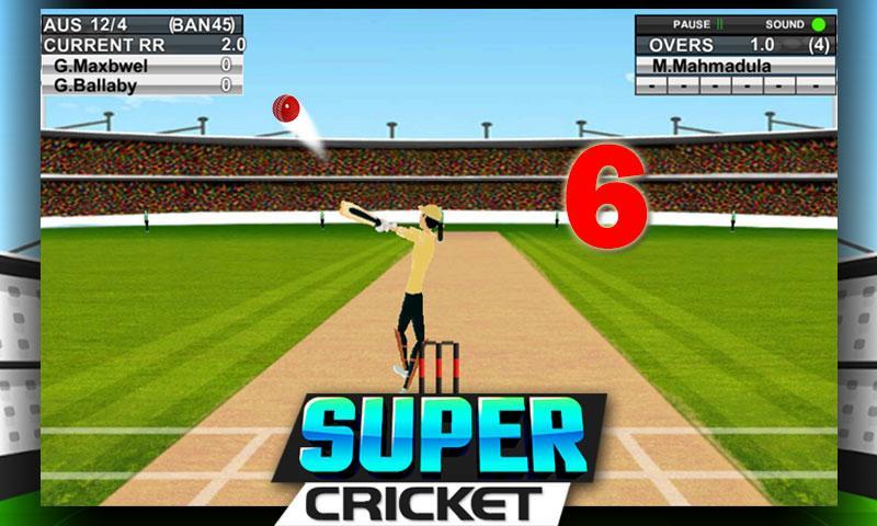 Super Cricket Championship