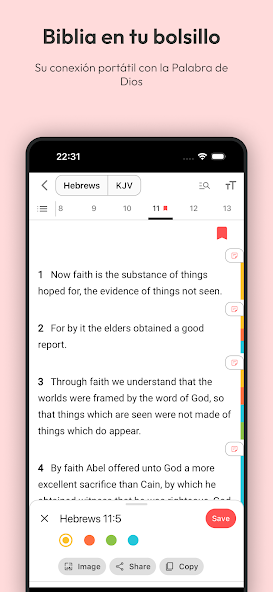 Biblia Quechua Chuya Qellqa