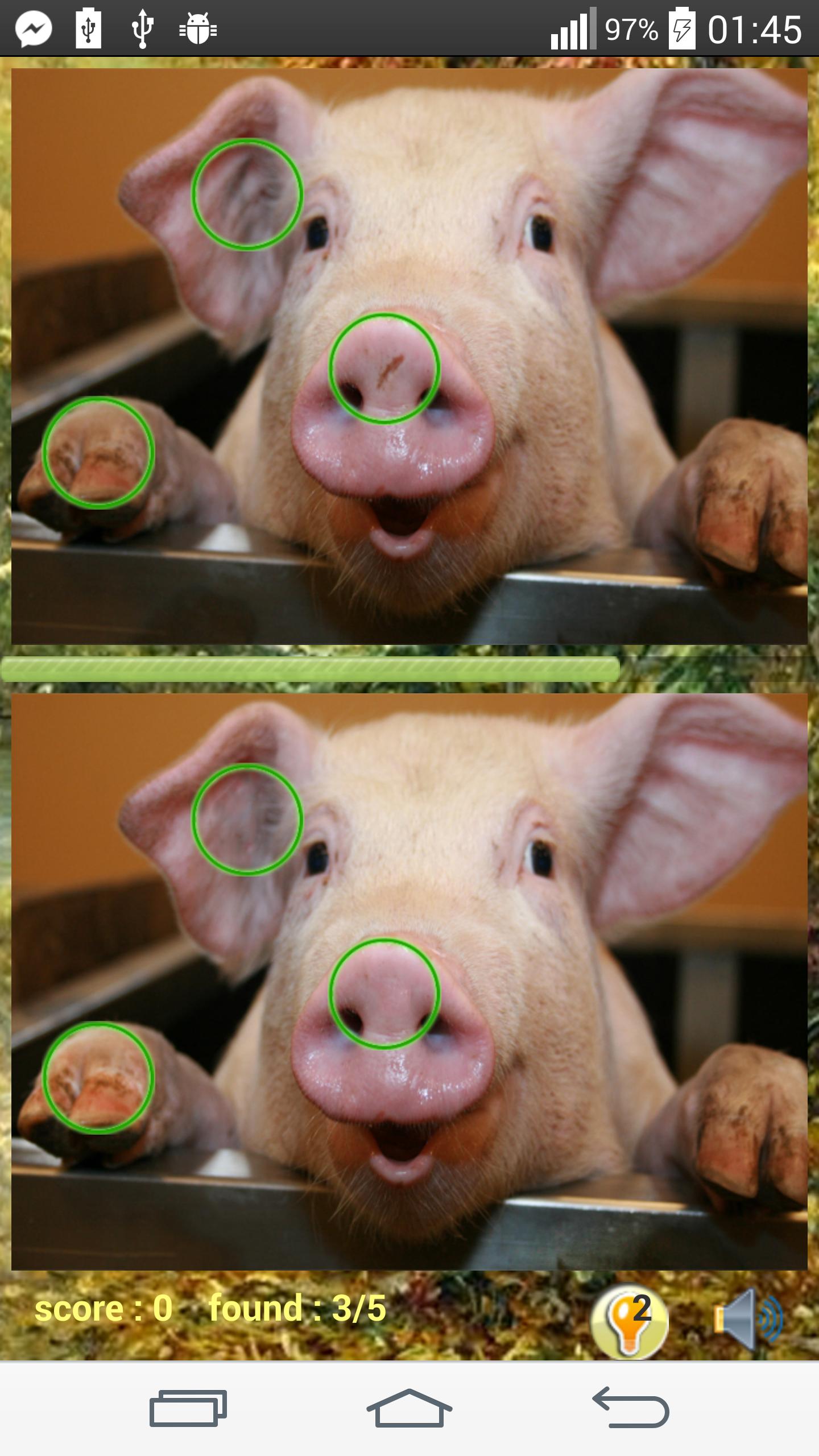 Photo Hunt Animal Game