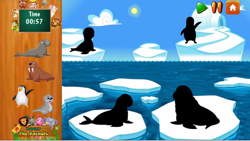 The cultural world of animals