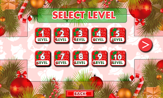 Santa Christmas Gift Delivery