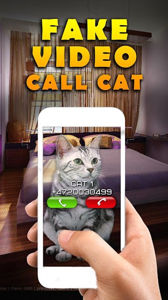 Fake Video Call Cat