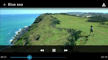 Online Video Player Downloader