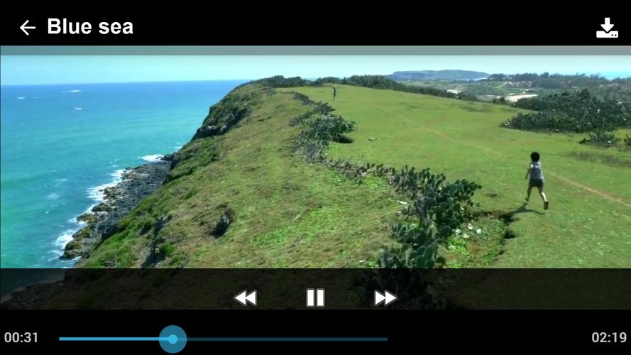 Online Video Player Downloader