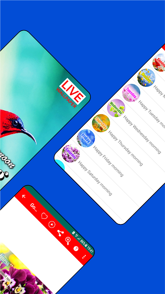 Good Morning to Night Wishes