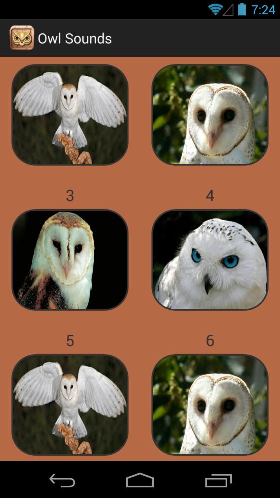 Owl Sound Collection