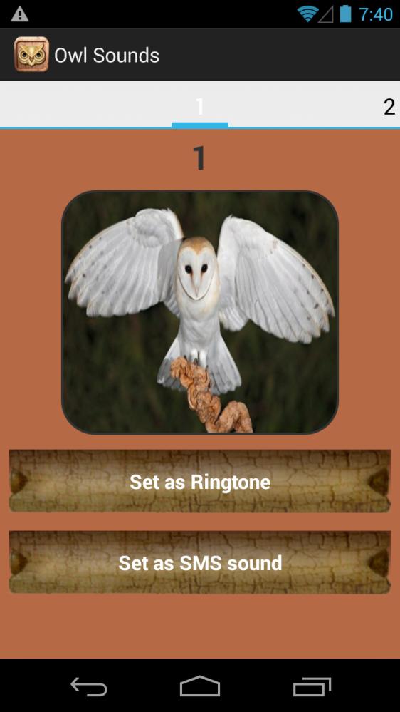 Owl Sound Collection