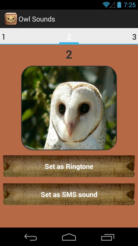 Owl Sound Collection