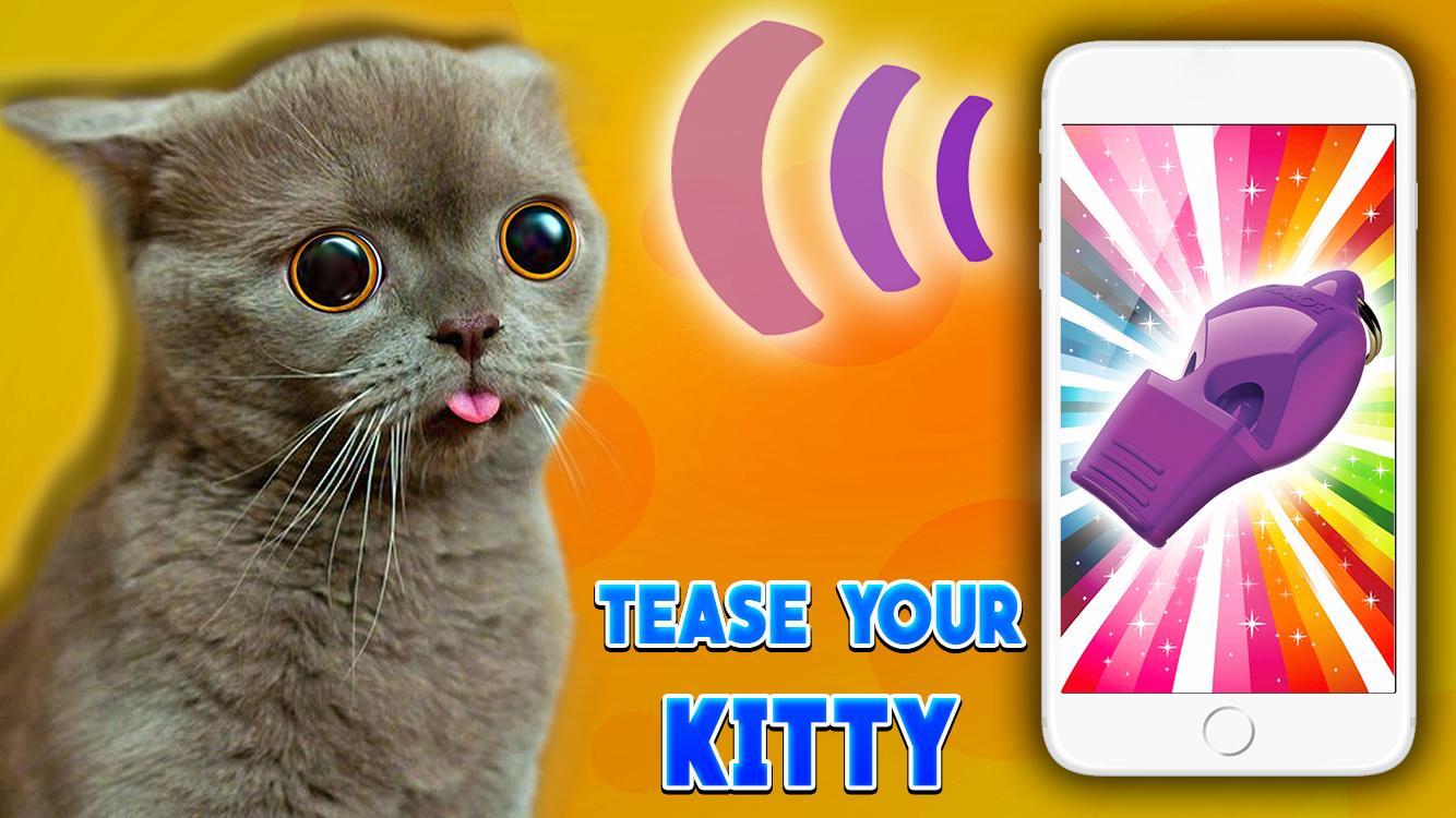 Ultrasound Cat Whistle