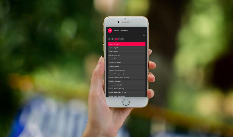 Weather Radio Professional