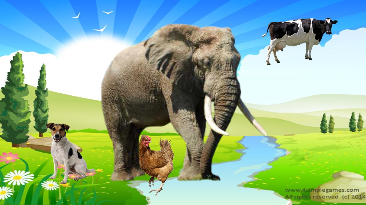 Free Real Animal Sounds