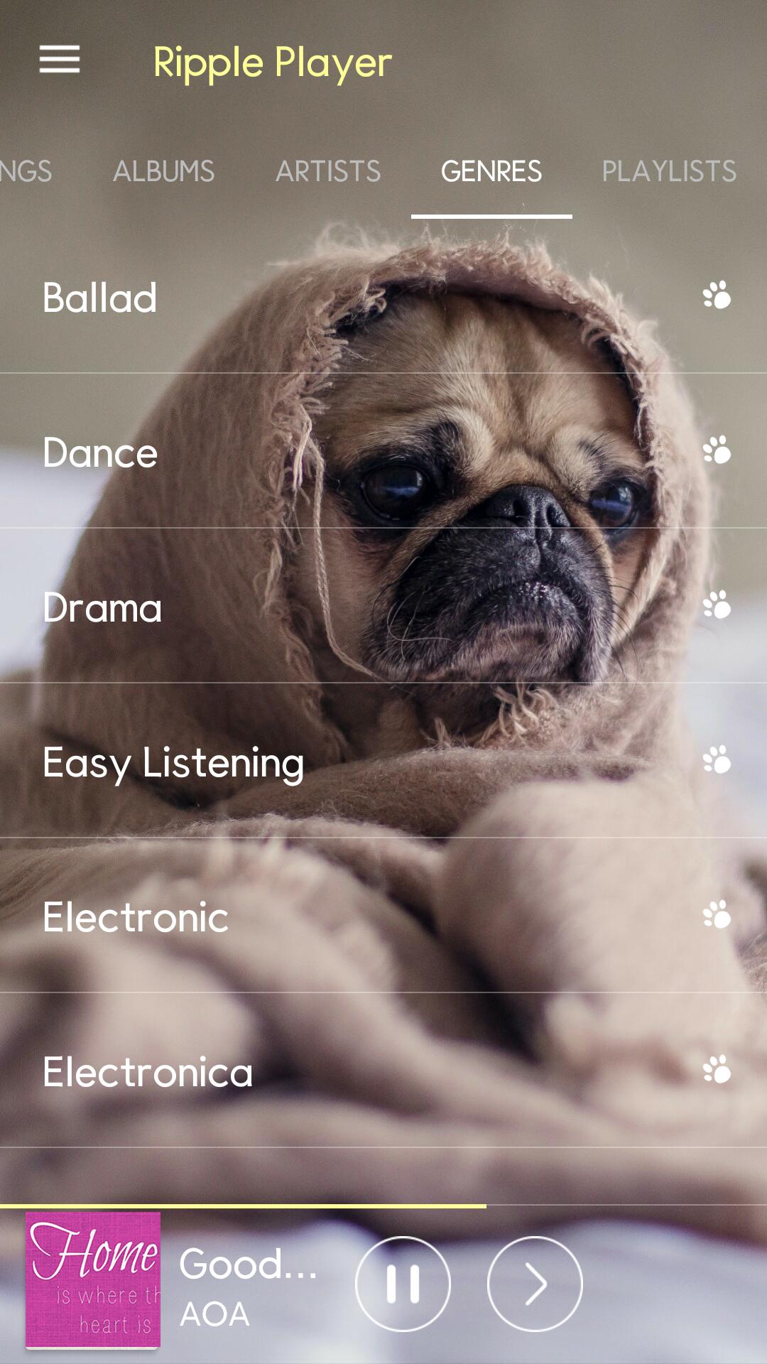 Ripple mp3 music player