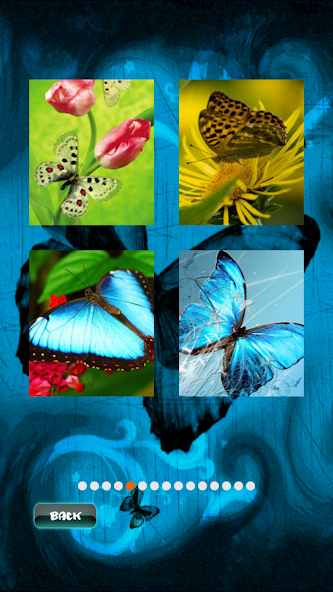 Butterfly Fluttering Puzzle