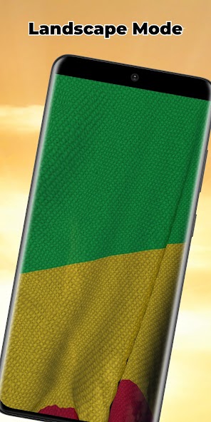 Mali Flag