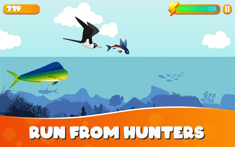 Wingzy: The Flying Fish