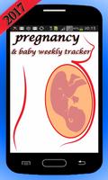 Pregnancy Baby Weekly Tracker