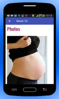 Pregnancy Baby Weekly Tracker
