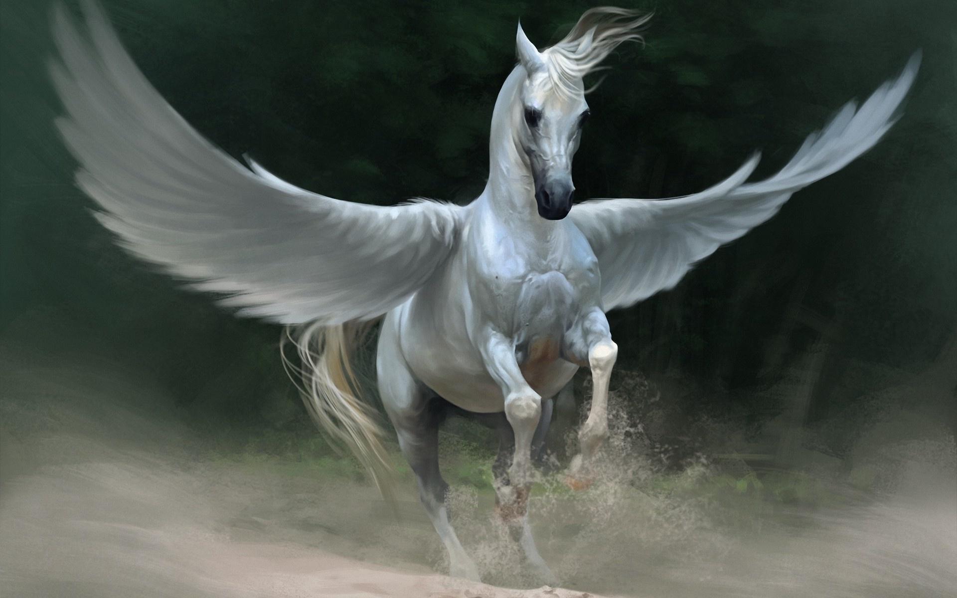 Pegasus HD Live Wallpaper