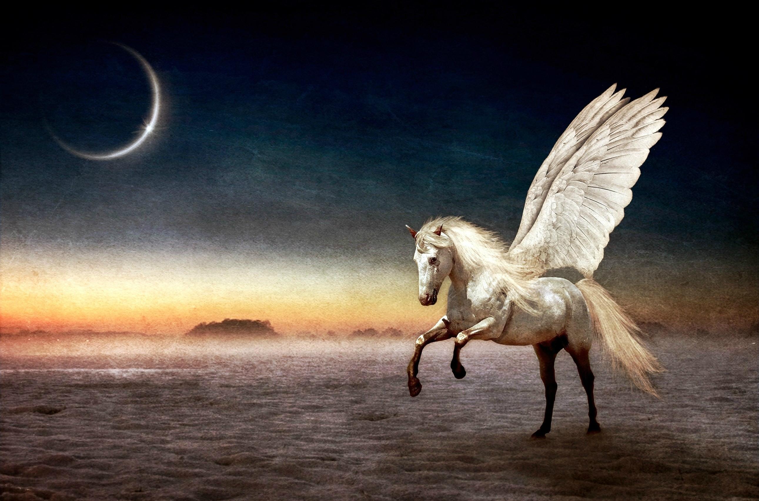 Pegasus HD Live Wallpaper