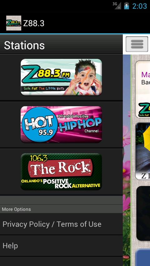 Z88.3
