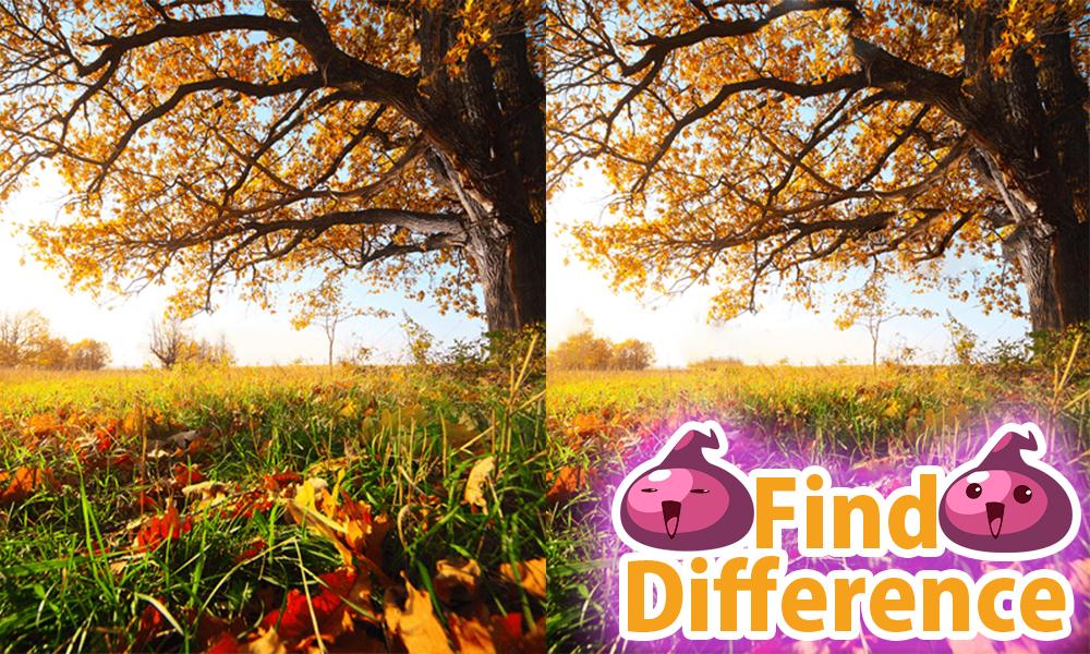 Guess the Difference 18